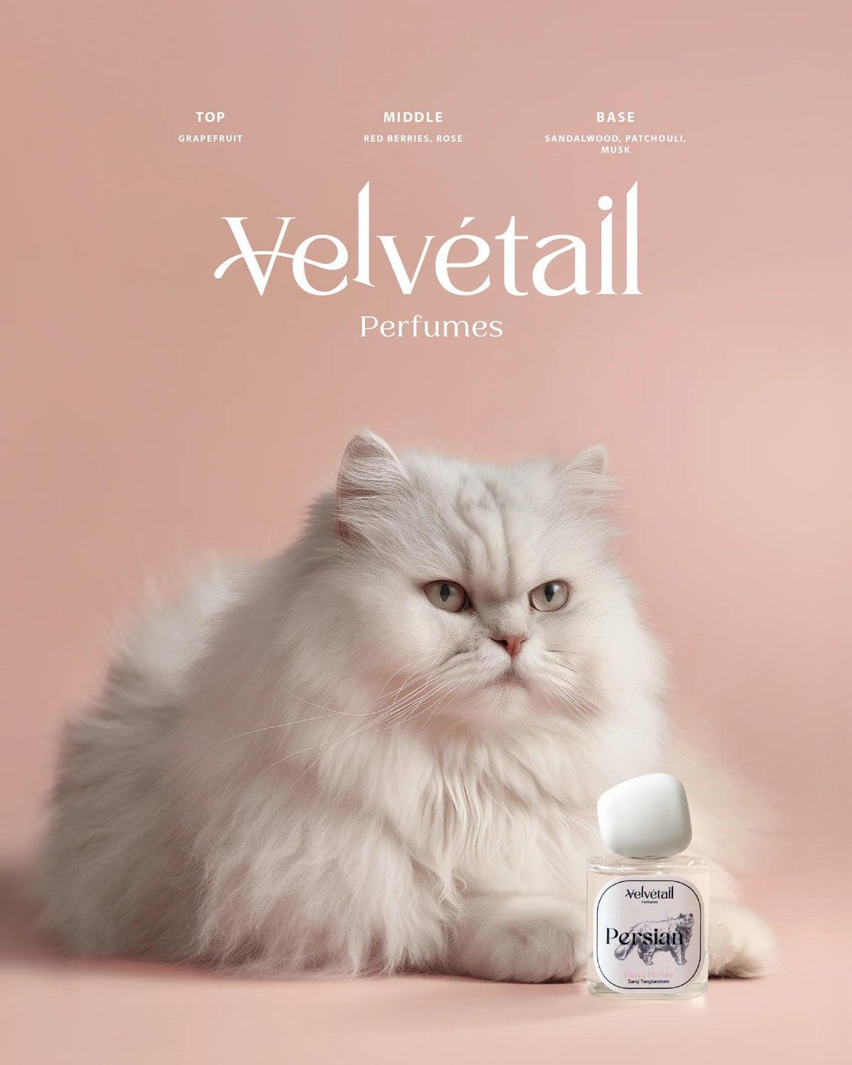 Velvetail Perfumes Persian 波斯貓
